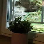 Rathewalder Muehle * Hohnstein