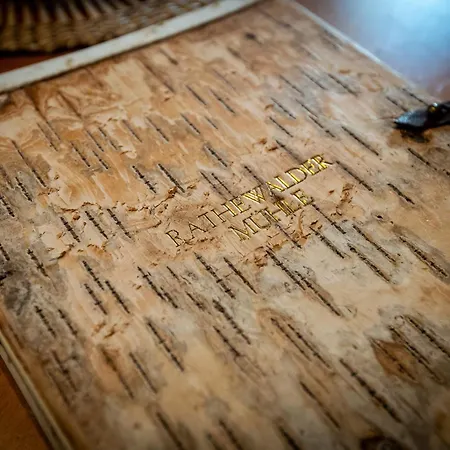 公寓 Rathewalder Muehle 霍恩斯泰因